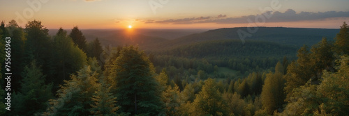 Sunrise Over a Lush Green Forest