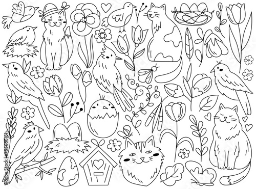 Spring doodle floral pattern set with cute cats, birds and eggs in nest vector illustration