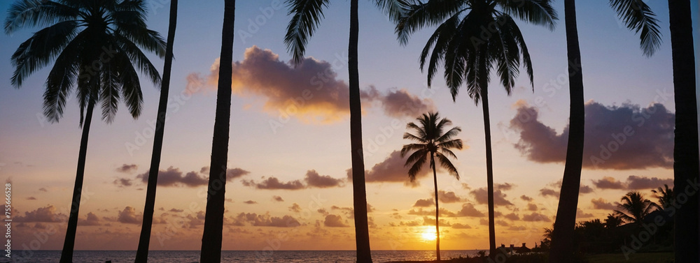 Sun Setting Behind Palm Trees on Beach