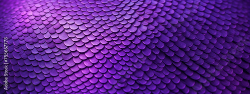 Close Up of a Purple Snake Skin