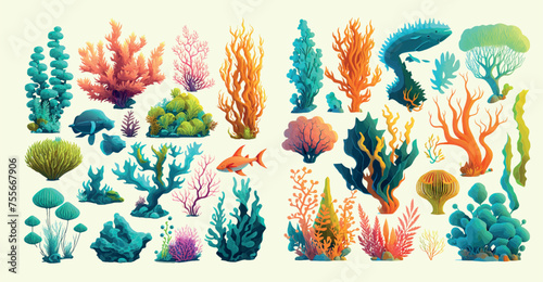 Vibrant Underwater Ecosystem: A Collection of Colorful Coral Reefs and Marine Life