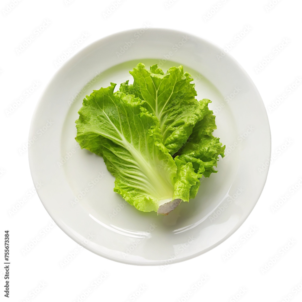 Lettuce on white plate. Isolated on transparent background. Lettuce on white plate. Isolated on transparent background.