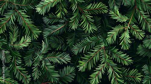 Spruce branches, green needles, conifer background