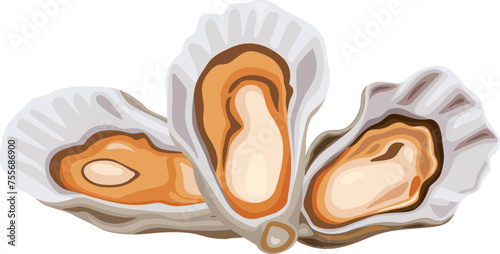 Oysters isolated on black background. Trendy healthy food. Oysters. Print. Banner, label, poster, sticker, logo, vector illustration.	