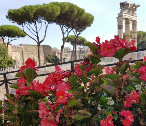 Roma Fori Imperiali photo