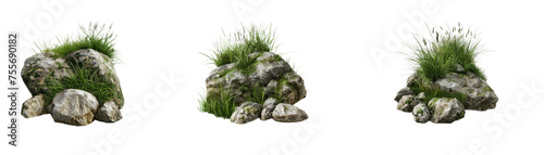 grass fields meadow with rocks on transparent background, png