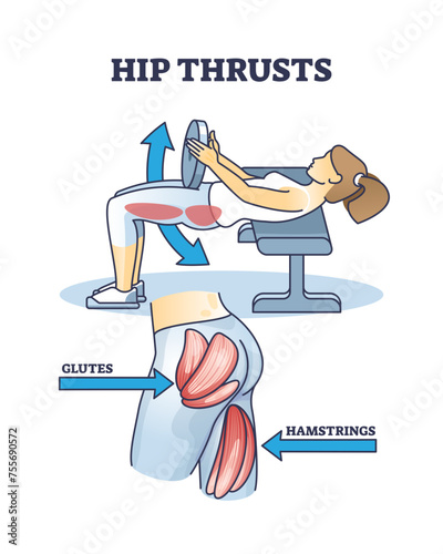 Hip thrusts workout for glutes and hamstrings muscle strength outline diagram, transparent background. Labeled educational activity explanation for strong body and physical wellness illustration.