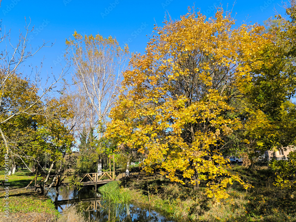 colorful autumn in Backi Petrovac, Vojvodina