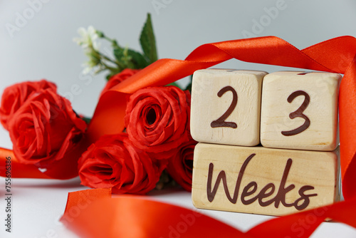 23 week gestational age milestone written on a wooden cube with red roses and ribbons, and a white background photo