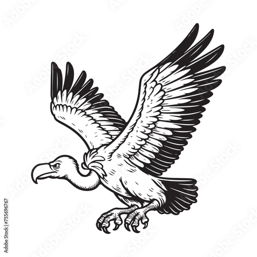 Line art of vulture cartoon vector