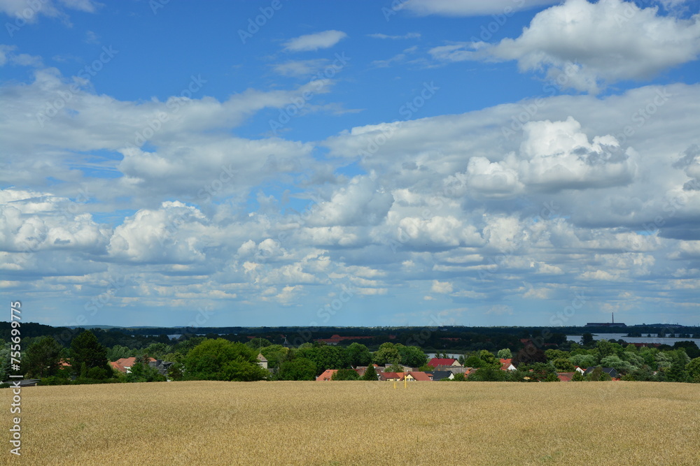 Fototapeta premium Getreidefeld am Dorf