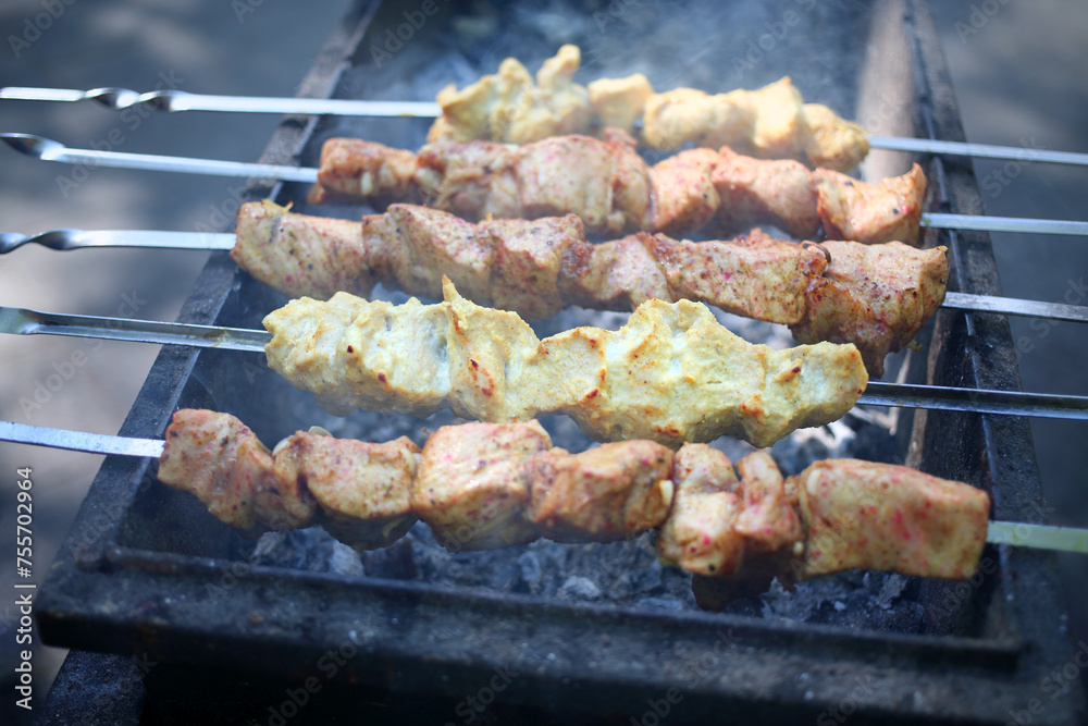 Spits with pieces of meat on the grill over hot coals, close-up Spits with pieces of meat on the grill over hot coals, close-up