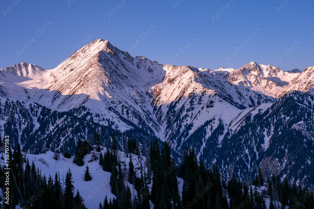 Mountain landscape with snow-capped peaks and coniferous forest in the soft light of the rising sun