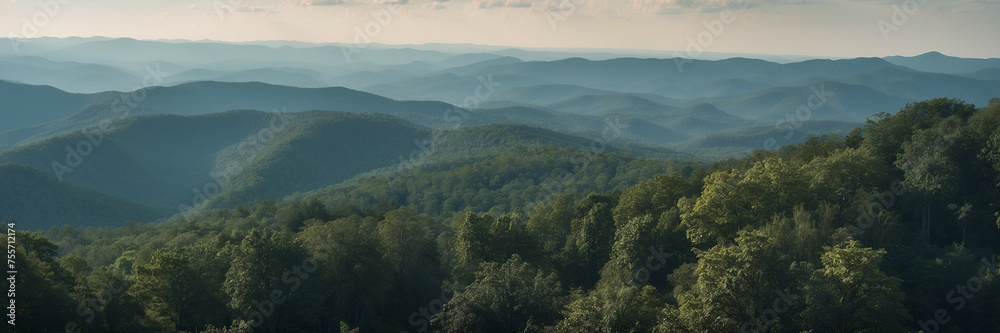 Mountain Range With Trees Mountain Range With Trees