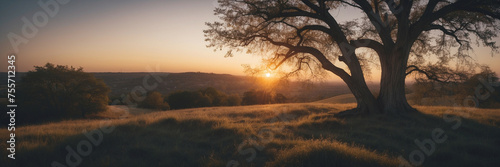 Silhouetted Tree Against a Sunset Over a Rolling Landscape