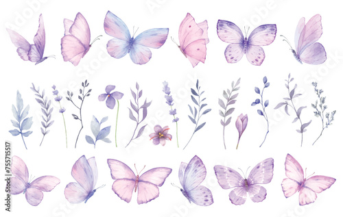 Pink violet butterflies vector clipart set. Wildflowers and herbs. Watercolor hand painted illustration. Party invitation, birthday, wedding design. Spring or summer decoration. photo