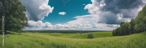 Lush Green Field