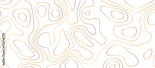 Abstract golden topography vector background. Topographic map. Geographic mountain relief. counter map wavy line paper textrue. grid curve line abstract vector illustration .