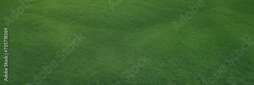 Aerial View of Lush Green Grass Field