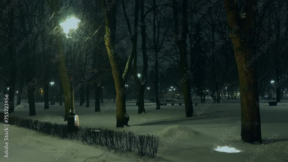 A snowy park at night with trees and a street light A snowy park at night with trees and a street light