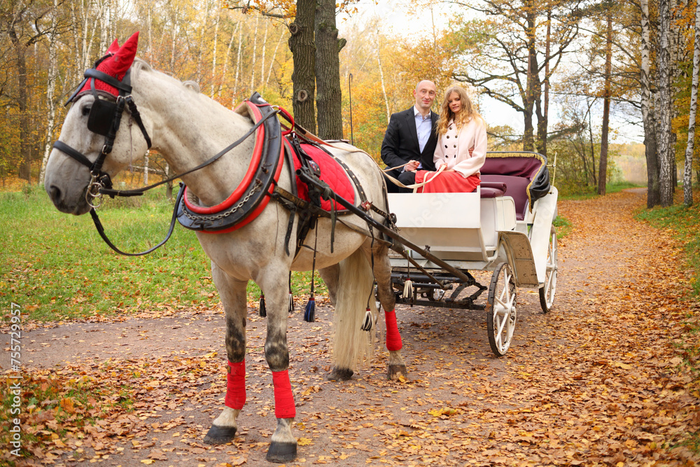 Man and woman are in coach with horse and hold reins in autumn park Man and woman are in coach with horse and hold reins in autumn park