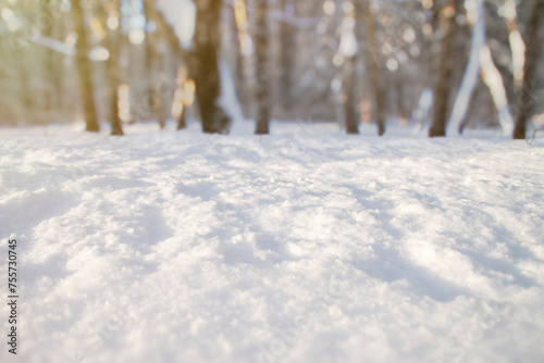 Close-up of snow. Template with empty snow surface in the park. Trees in blur in the background. © Николай Батаев