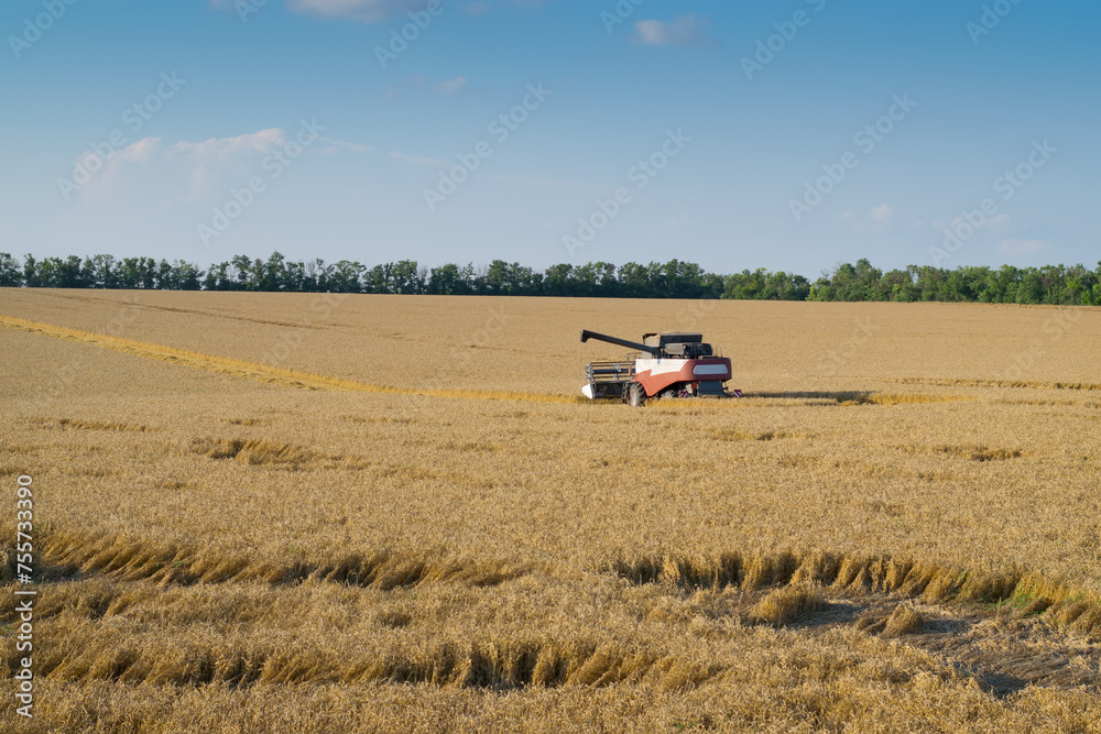 Modern harvester harvests wheat field on sunny hot day during harvest time Modern harvester harvests wheat field on sunny hot day during harvest time