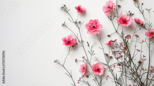 minimalist floral art with a white background © Media Srock