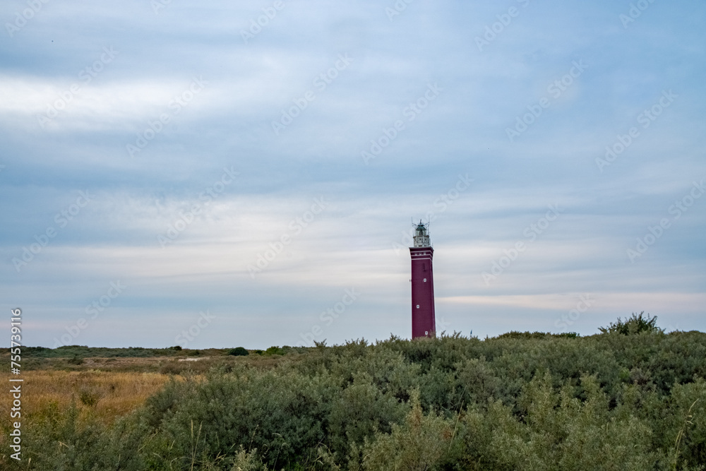 In this landscape, the vivid crimson of the lighthouse provides a stark contrast to the muted greens and browns of the coastal shrubbery under a subdued, cloudy sky. The lighthouse, positioned