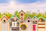Colorful new bird houses and insect hotels in front of blooming wild flowers with flying insects