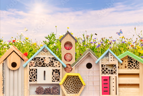 Colorful new bird houses and insect hotels in front of blooming wild flowers with flying insects