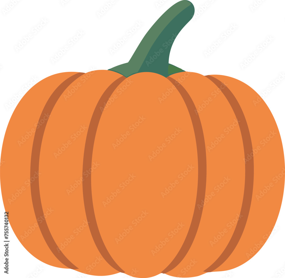Vector pumpkin on an isolated transparent background. Vector pumpkin on an isolated transparent background.