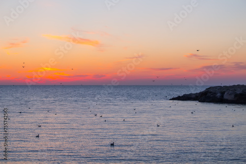 Beautiful sea during sunset and many birds at summer evening