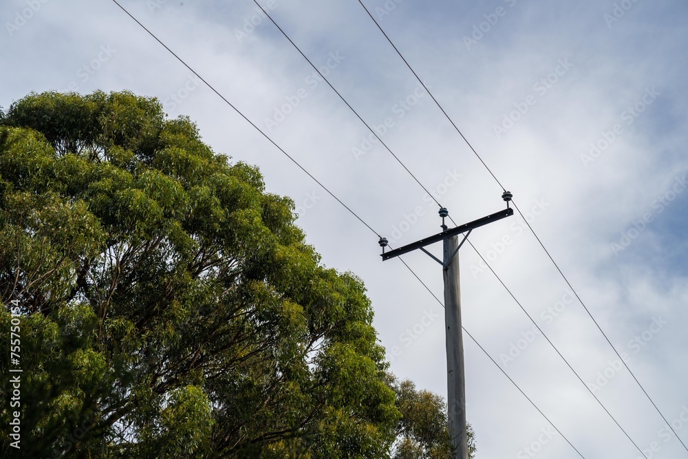 Powerlines in the bush in Australia. Power poles a fire hazard in the forest Powerlines in the bush in Australia. Power poles a fire hazard in the forest