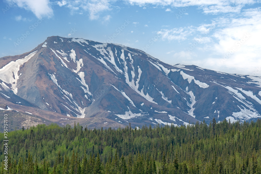 Alaska Mountain Terrain, Thick Forest Valley, Blue Skies