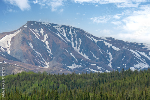 Alaska Mountain Terrain, Thick Forest Valley, Blue Skies