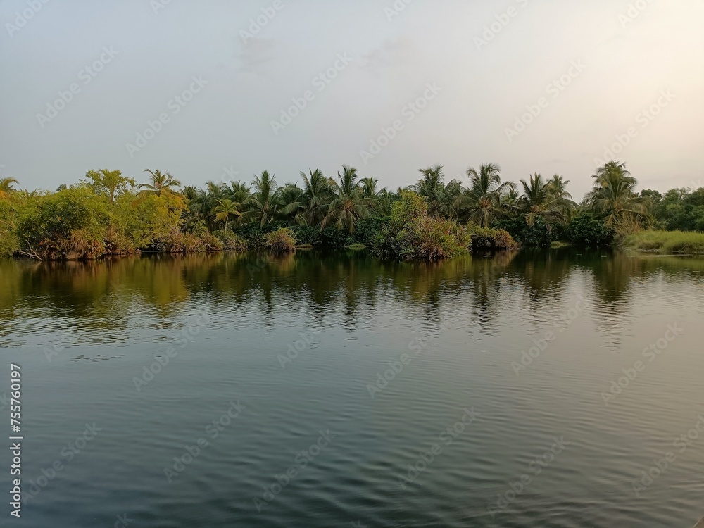 Views of the beautiful landscape of Kerala, India