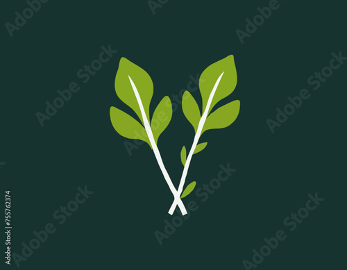 Rucola or arugula icon 
