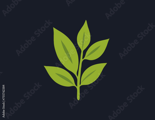 Rucola or arugula icon 
