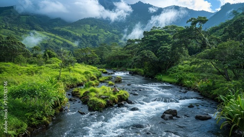 Serene river running through lush valley