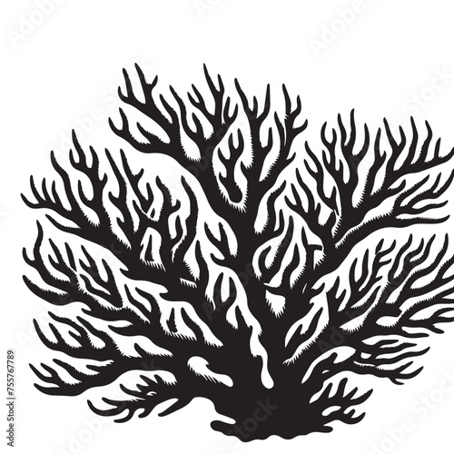 Coral, Silhouette, Marine Life, Coral Icon,