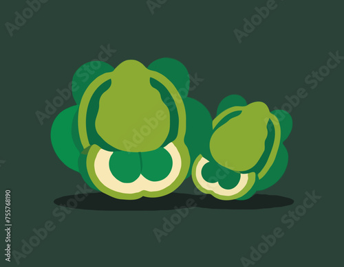 Brussels sprouts vector

