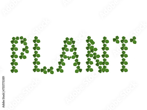 Plant word made of green leaves png. green leaves png green grass alphabet letters