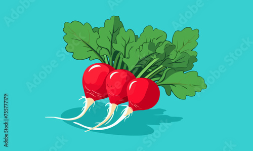 Radish vector flat minimalistic asset isolated vector style illustration