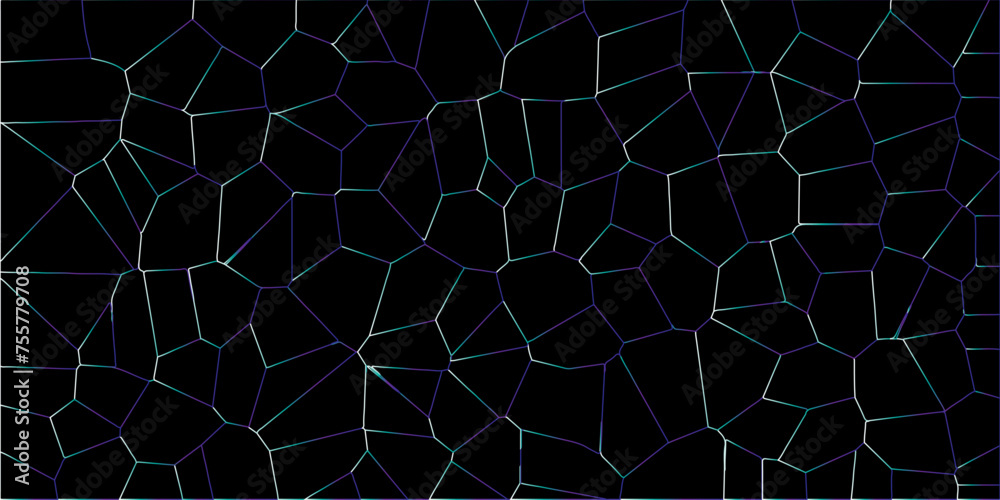 Irregular white cell texture isolates with a black background. architecture paving outdoor. Black and White Mosaic. Geometric vector background design wallpaper. Structure of cracking. Irregular white cell texture isolates with a black background. architecture paving outdoor. Black and White Mosaic. Geometric vector background design wallpaper. Structure of cracking.