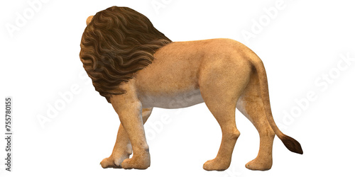 Lion isolated on a Transaprent BAckground