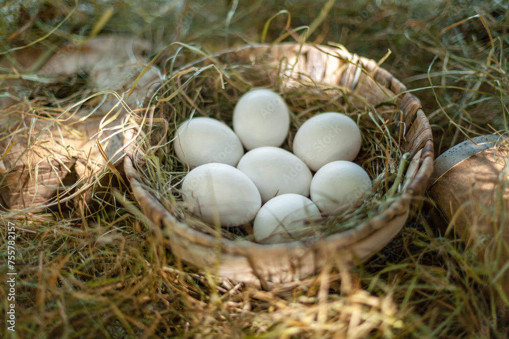 Chicken eggs in the straw nest in the chicken coop. Chicken eggs in the straw nest in the chicken coop.