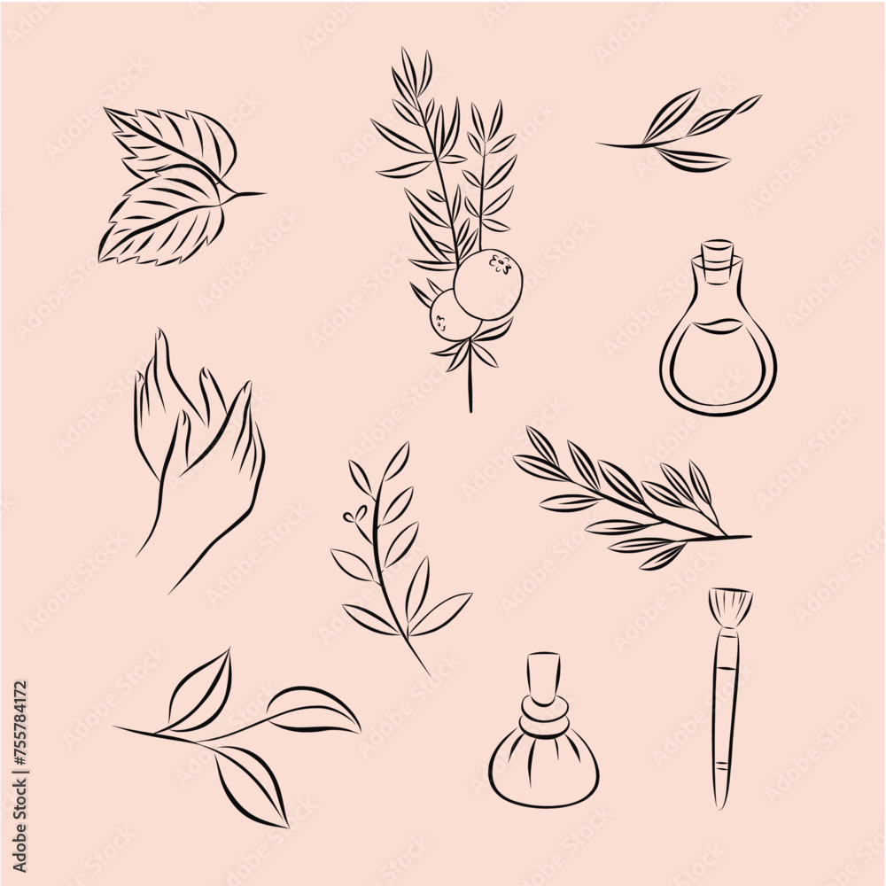 vector wellness illustrations
