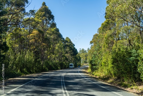 tourist traveling in a caravan exploring nature driving on a raod in the forest Cars Driving on a highway road, in australia photo