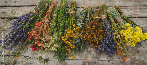 Dried medicinal herbs on the table. Selective focus.